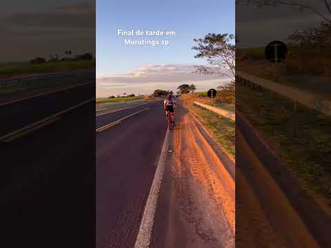 Murutinga do sul - São Paulo