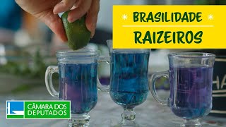 Brasilidade - Raizeiros (com audiodescrição)