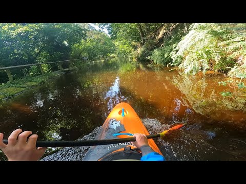 Low Dee Joy lap 🏴󠁧󠁢󠁷󠁬󠁳󠁿