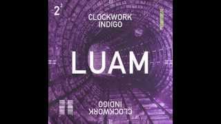 Clockwork Indigo (Flatbush Zombies & The Underachievers) - LUAM