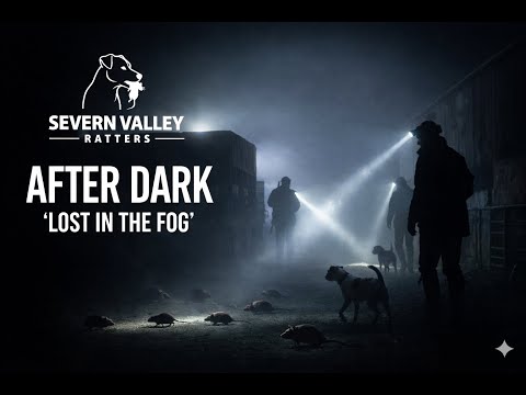 Lost in the Fog | Ratting With Terriers After Dark | Severn Valley Ratters