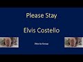 Elvis Costello   Please Stay (Don't Go)  KARAOKE