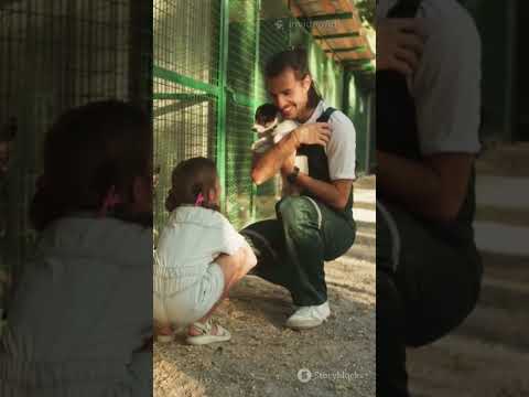 The dog was in serious trouble… no one helped at first.💔🥀 #animallove#shortfilm #youtubeshorts#viral