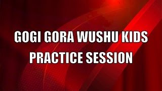 preview picture of video 'Gogi Gora Wushu Kids (Practice Session)'