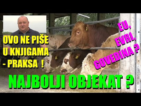 TOTALNO DRUGAČIJE - objekat za TOV JUNADI - nema rešetke   SKUPLJANJE STAJNJAKA - zašto je UGAO ...
