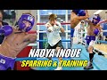 Naoya Inoue Sparring & Training
