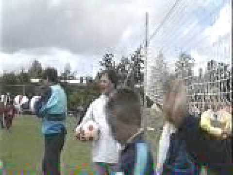 Terrasvogels 50 jaar