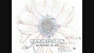 Rammstein - Du riechst so gut (remix)