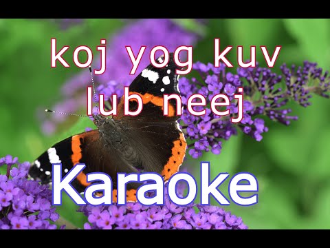 Koj yog kuv lub neej karaoke | Xy Lee & Suab Nag Yab | Thào A Vảng