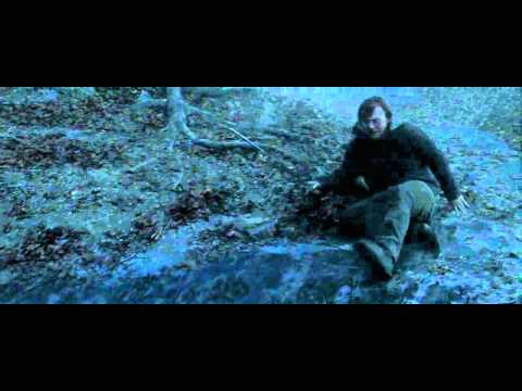 Ron destroys Slytherin's Locket HD