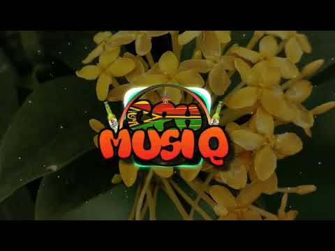 Awadi ft. Tibass - S.O.S Congo (kinglow Remix) 2022