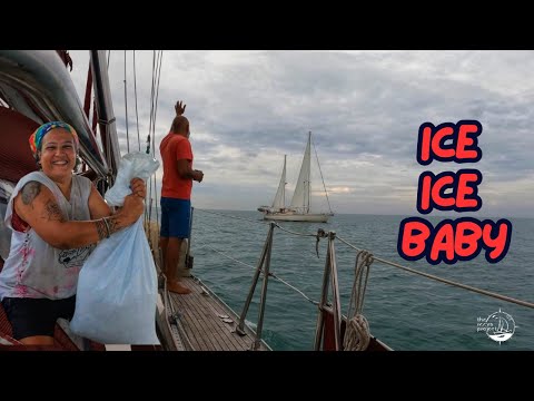 Sailing Thailand’s Hidden Islands ⛵ | Fun Crew, Coral Drama & Beach BBQ | The Reeva Project
