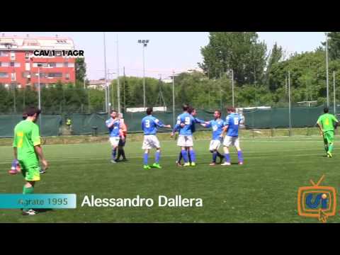 Sintesi Cavalcanti - Agrate 1995