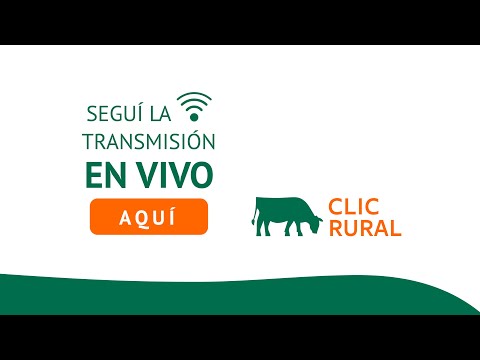 23/08/2025 - Remate Haciendas Generales - Egusquiza, Santa Fe- Ariel Saenz y Cía