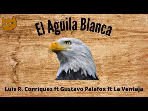 El águila blanca 👿 Luis R Conriquez ft Gustavo Palafox ft La Ventaja