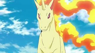 Morgan's Rapidash Transformation