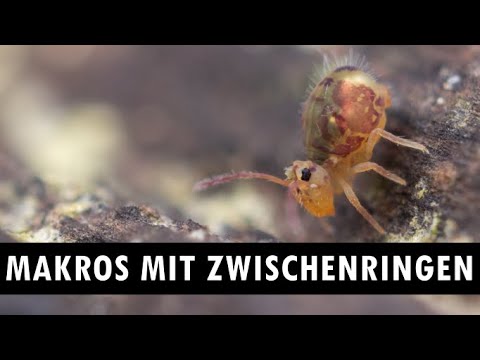 Makros mit Zwischenringen