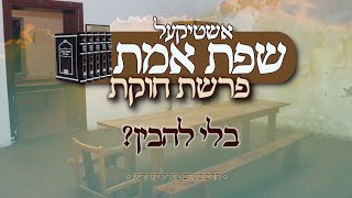 הרב מנחם מנדל פומרנץ | אשטיקעל שפת אמת - פרשת חוקת • בלי להבין? •