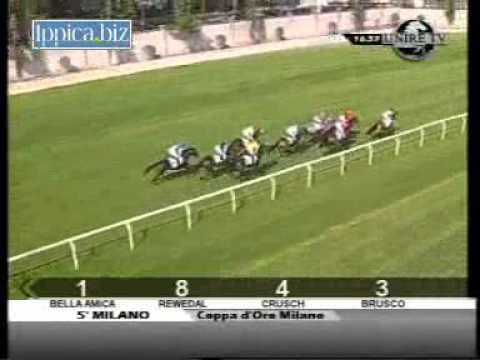 Premio Coppa D'Oro di Milano 2010