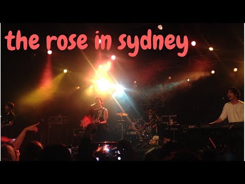 i miss the rose - paint it rose 2018: 2nd colouring in sydney