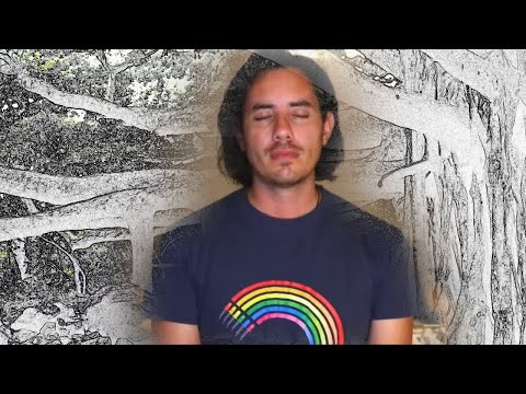 Day 345 BRANCHES Alignment - Matias De Stefano - English Edit