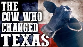 The Cow Who Changed Texas Forever  Rowdy Girl