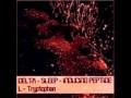 Delta Sleep Inducing Peptide L Tryptophan
