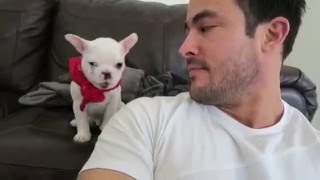 Puppy Can&#39;t Take a Compliment