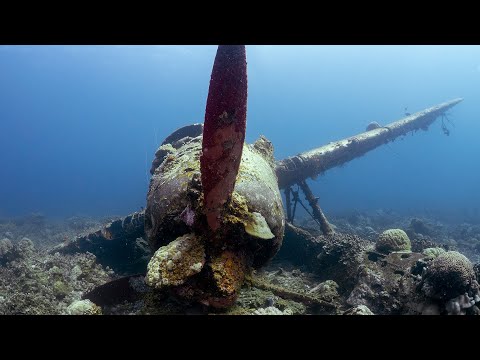 Palau Liveaboard Video 3 of 3