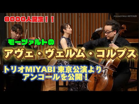 II.ヤークトコルプスについて詳しく解説