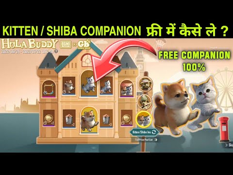 HOW TO GET FREE KITTEN / SHIBA COMPANION IN BGMI 😱 | HOlA BUDDY CRATE OPENING BGMI 🔥