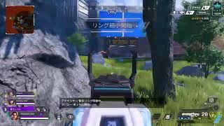 のんびりApex