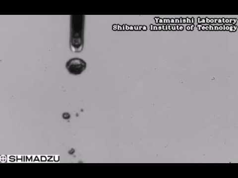 High-Speed Video Camera HPV-X2 – "High Speed Contraction of Microbubbles"