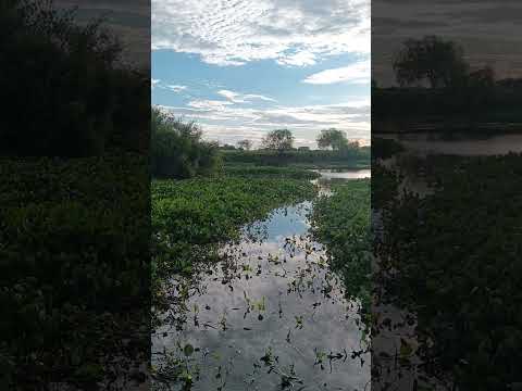 Arroyo Yaguarí , Lapuente , dpto. Rivera 🇺🇾