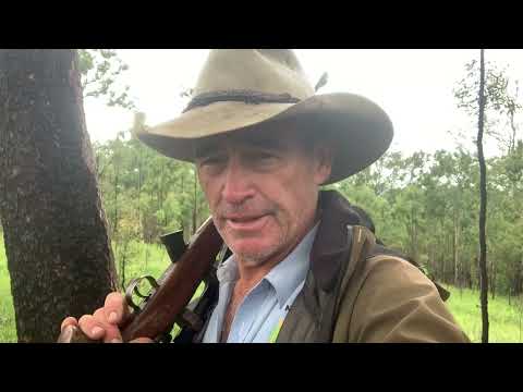 Killer wild dogs down south  Part 2