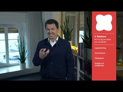 IDG Framework with Jan Artem Henriksson (Swedish: 13m)