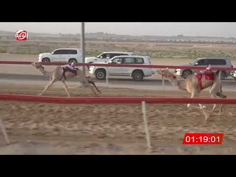  ش 9 (أفعال) لـ خليفه علي بن مروشد 2:11 ، شارة صندوق حلفه 2026/05/03 فطامين سويحان