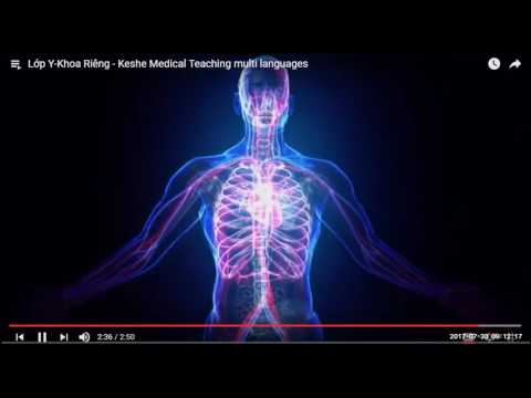 2017 07 30 AM Public Teaching in Vietnamese - Buổi giảng công cộng bằng tiếng Việt