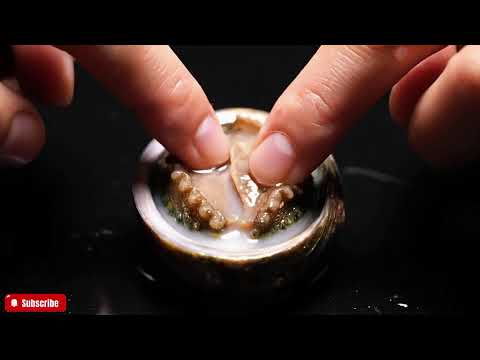 🔴 The FRESHEST Abalone ASMR You'll Ever See | Close-Up Visuals & Natural Ocean Sounds