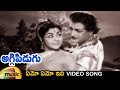 Old Telugu Songs Emo Emo Idhi Video Song Aggi Pidugu Telugu Movie NTR Krishna Kumari