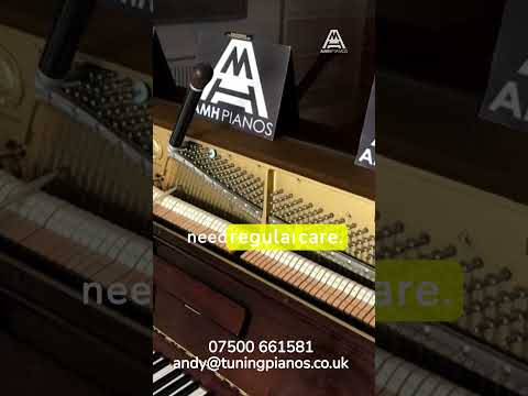 W1D Grand Piano Repair & Maintenance in Soho, Chinatown, Soho Square, & Westminster