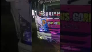 Download lagu Isuzu Elf Led variation || fried intestines #mobilganteng mp3 Download lagu Isuzu Elf Led variation || fried intestines #mobilganteng mp3