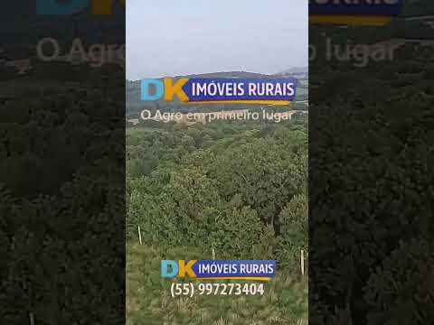 🚜 PATRIMÔNIO RURAL COM GRANDE POTENCIAL EM ALEGRETE/RS! 🌾
