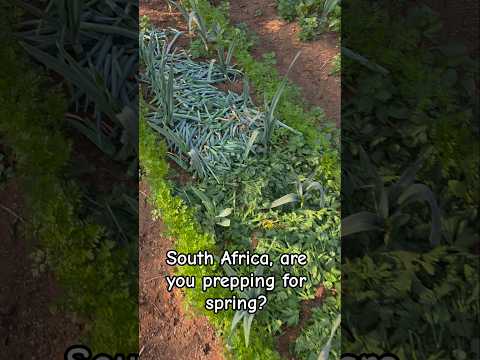 Prepping soil for spring with chop and drop and leave deposits #pottingsoil #soilinfertility