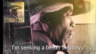 Brushy One String | DESTINY (Lyrics)