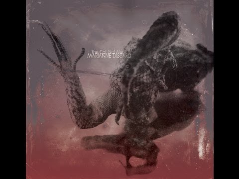 'The Cat. Not Me' - Album teaser - Marianne Dissard