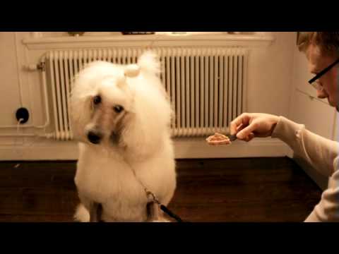 Snuffis äta leverpastej