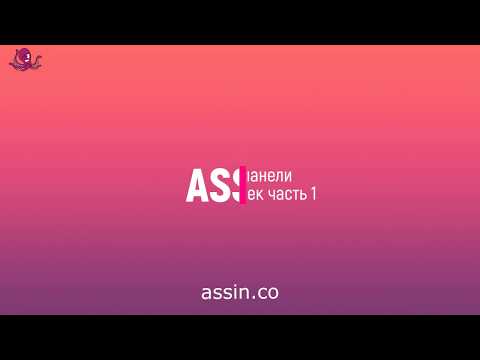 Видеообзор Assin.co