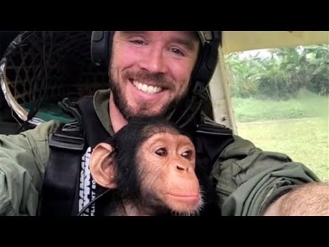Baby Chimpanzee Rescued From Poachers, Can’t Stop Cuddling Rescue Plane Pilot