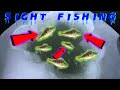Video Thumbnail for 2021 Sight Fishing For JUMBO Perch! Cut A Huge Hole In The Ice! Open Water!! DANGEROUS